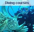 Diving courses